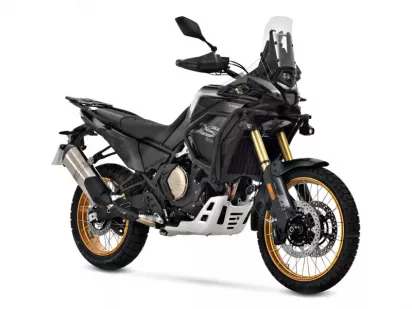 Moto Voge DS800X RALLY